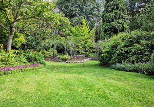 Optimiser l'expérience du jardin à Thollon-les-Memises